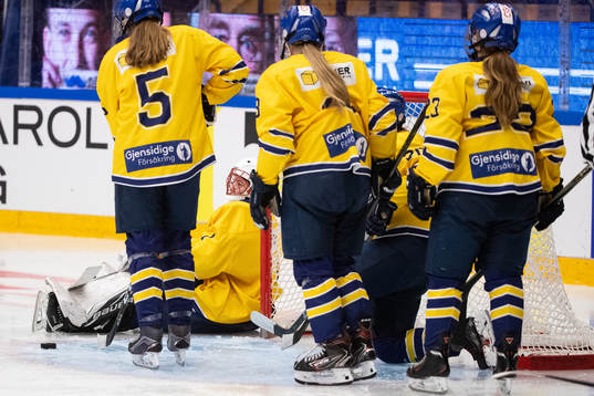 Dalarnas spelarna deppar