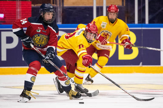 Stockholm Nords Albin Pedersen och Smålands Max Forsell