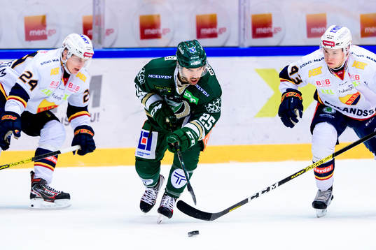 Djurgårdens Erik Walli-Walterholm, Färjestads Martin