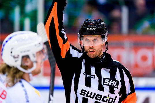 Domare Johan Magnusson