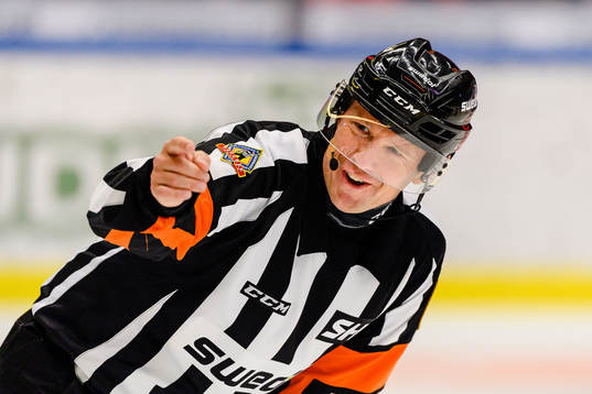 Domare Wolmer Edqvist