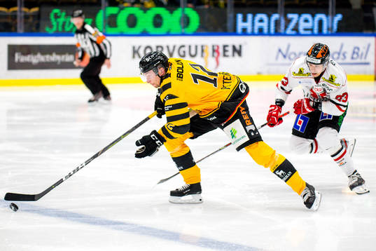 Skellefteås Adam Pettersson