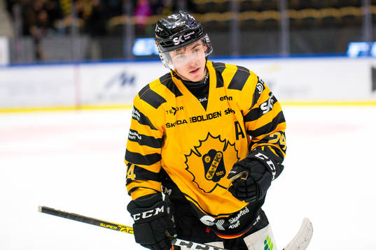 Skellefteås Andreas Wingerli deppar