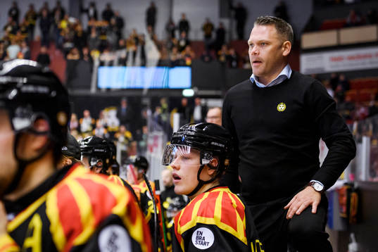 Brynäs assisterande tränare Mikael Holmqvist