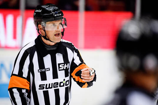 Domare Mikael Nord