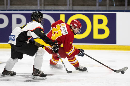 Smålands Egor Polin
