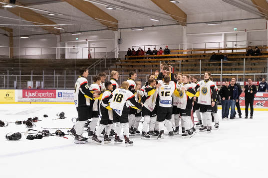 Södermanlands spelarna jublar