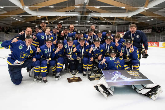 Dalarnas spelare jublar