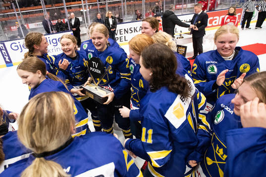 Dalarnas spelare jublar