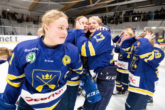 Dalarnas spelare jublar