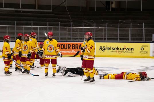 Smålands spelare deppar