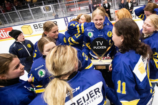 Dalarnas spelare jublar
