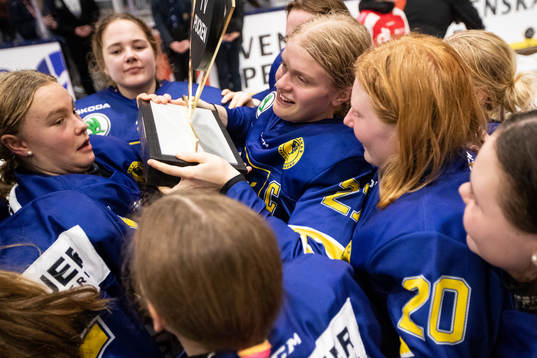 Dalarnas spelare jublar