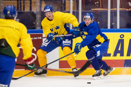 Niklas Hansson of Sweden