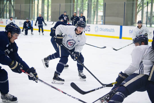 Gustav Nyquist of Columbus Blue Jackets