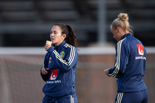 Michelle de Jongh of the Swedish women’s national
