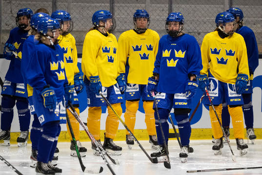 Swedish players