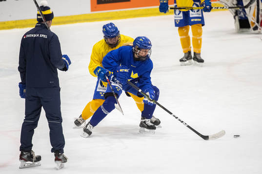 Swedish players
