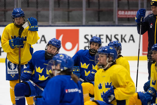 Swedish players