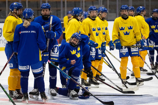 Swedish players
