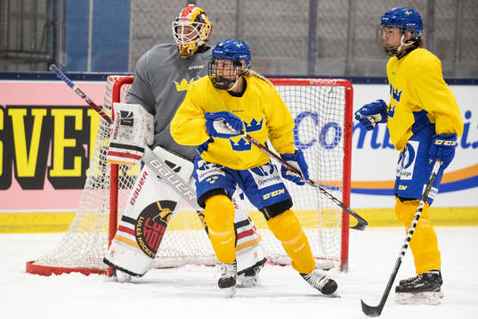 Goaltender Sara Grahn and Josefine Holmgren and Anna