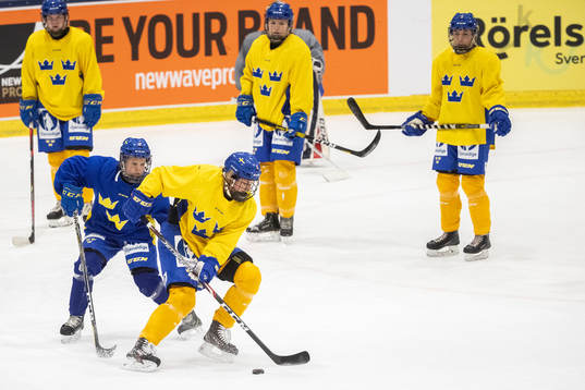 Swedish players