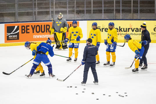 Swedish players
