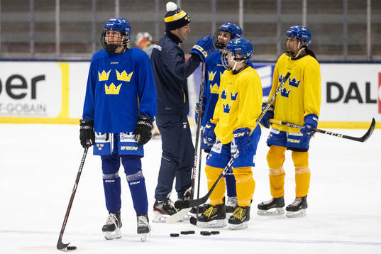 Swedish players