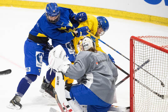 Swedish players