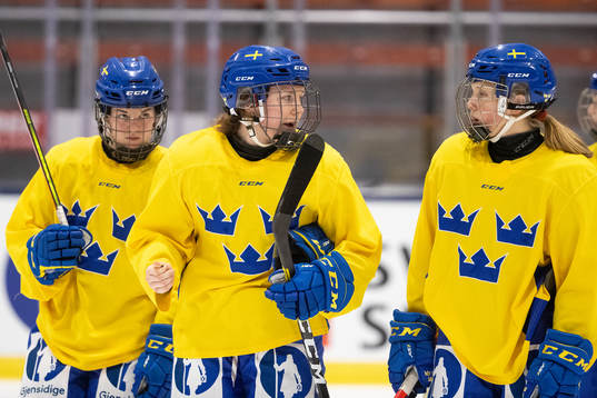 Bläddra bland fler bilder av Ice Hockey, Sweden, Women, Practice