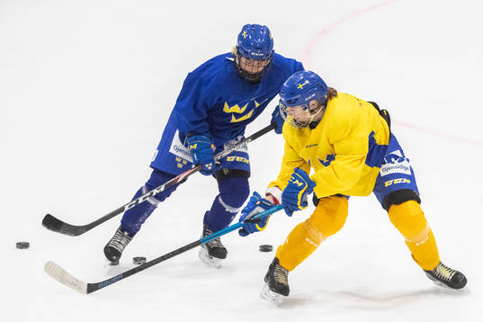 Swedish players