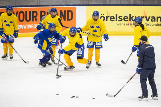 Swedish players