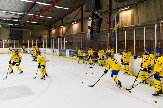 Sveriges spelare värmer upp
