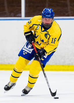 Sveriges Maja Grundström