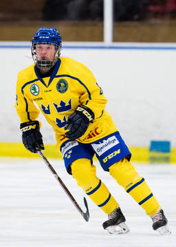 Sveriges Anna Andersson