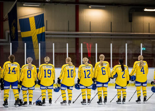 Sveriges spelare ställer upp