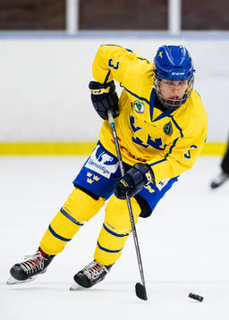 Sveriges Annelie Zander