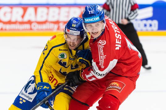 Arvid Lundberg of Sweden and Andrej Nestrasil of Czech