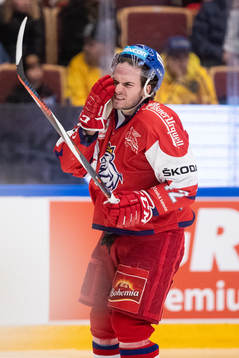 Petr Zámorský of Czech Republic  hurt