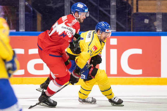 Radim Zohorna of Czech Republic  and Daniel Brodin of Sweden