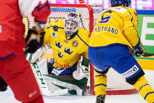 goaltender Adam Reideborn of Sweden