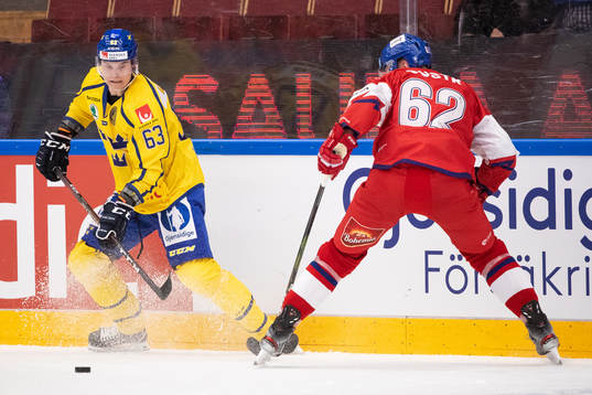Fredrik Händemark of Sweden and Andrej Sustr of Czech