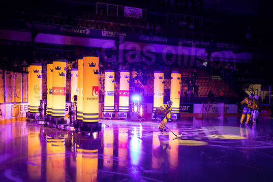 Swedish players entering the ice