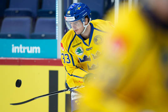 Michael Lindqvist #33, SWE