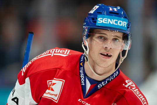 Andrej Nestrasil #11, CZE