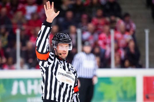 Domare Johan Magnusson