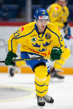 Michael Lindqvist #33, SWE