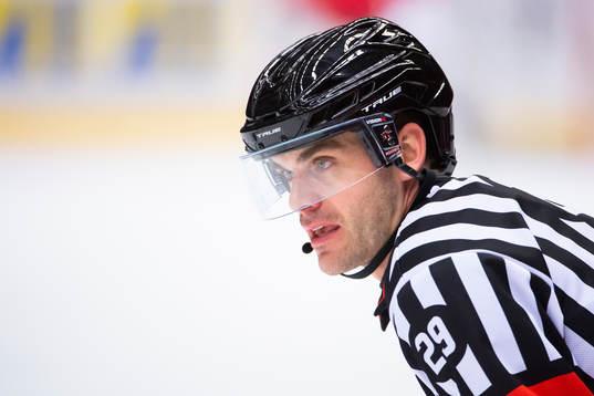 Domare Richard Magnusson