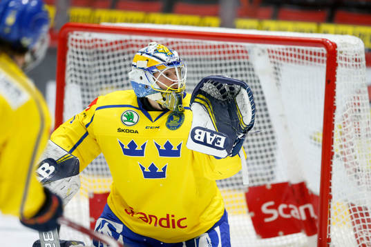 Hugo Alnefelt #1, SWE