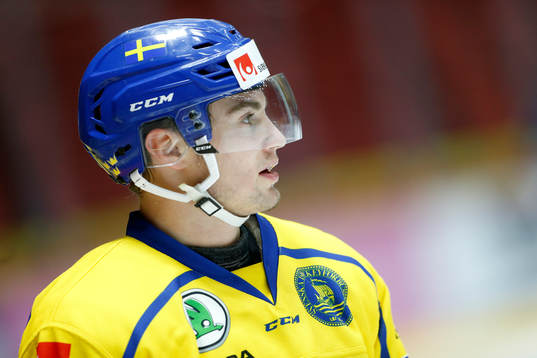 Nils Höglander #21, SWE